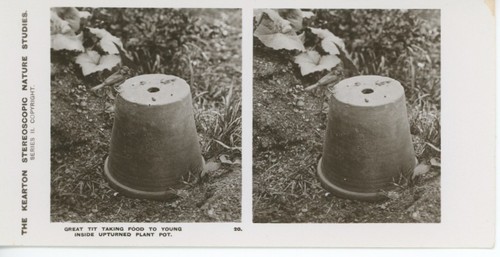 Antique kearton stereoscopic - kearton,