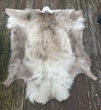 Reindeer Skin Pelt Hide (Some Holes) REAL