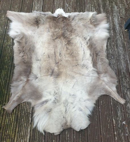 Reindeer skin pelt - skin, (some