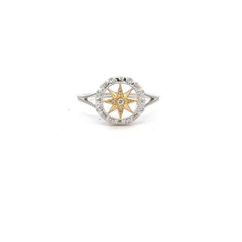 14kt white and - and, gold
