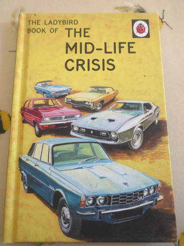 The ladybird book - the, midlife