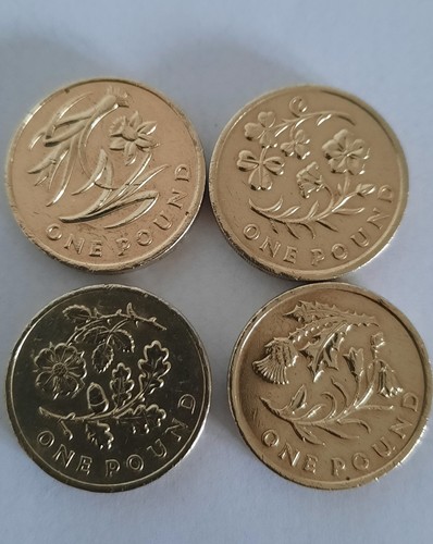 Old flower floral pound - floral, £1