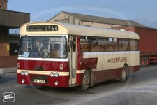 Bus Photo - Fourseasons