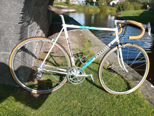 Pinarello treviso 56cm sp - treviso,