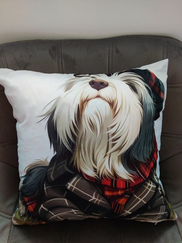 Bearded collie dog - collie,