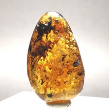 5.37ct Burmese Amber w. Insect