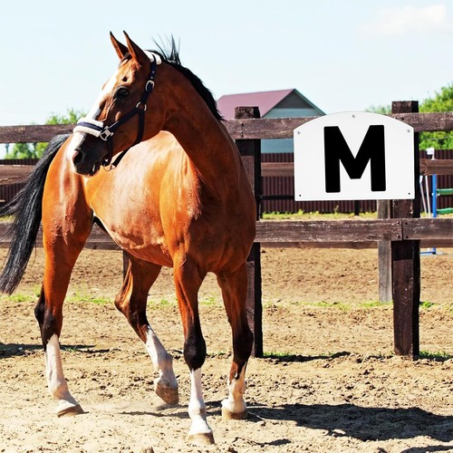 8pcs wall dressage arena - wall,