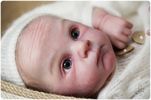 Studio doll baby - ,