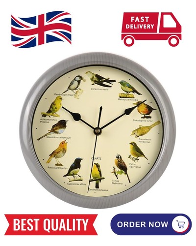 Species bird song - clock,, 10