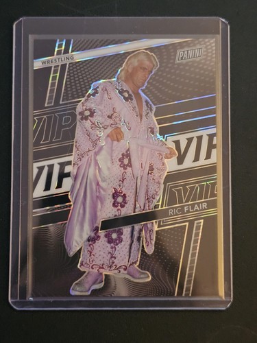 2026 panini national vip - 2026,