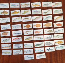 Carreras Craven Black Cat Cigarette Cards : "Sport Fish" Full set VGC