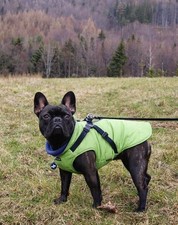 Puppia Mountaineer Dog Coat