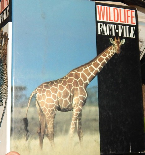Wildlife fact file - wildlife, group