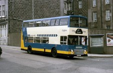northern scottish yso33y