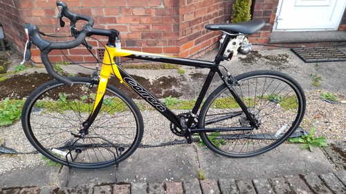Carrera tdf adults - tdf,
