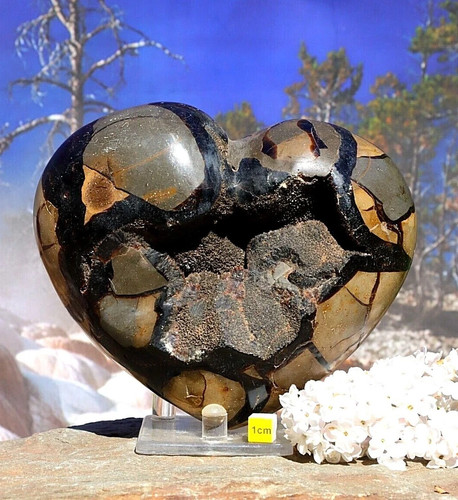 Septarian heart - heart, /