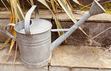 Vintage ROSE galvanised