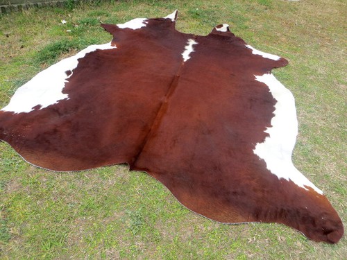 New large hereford brown - hereford,