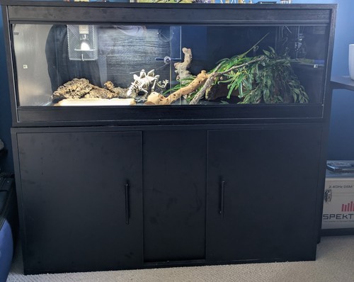 Vivarium with cabinet - vivarium,,