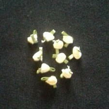  10 Small Satin Ribbon Cream