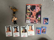 Hasbro wwe wwf wrestling 90s - wwe,