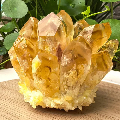 Natural citrine cluster quartz - citrine,
