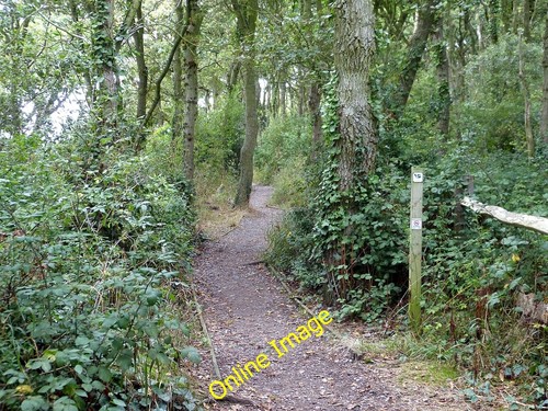 Photo 12x8 footpath - footpath, from
