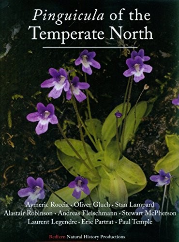 Pinguicula the temperate - of,