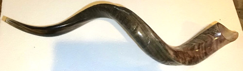 Yemenite shofar kudu - yemenite,