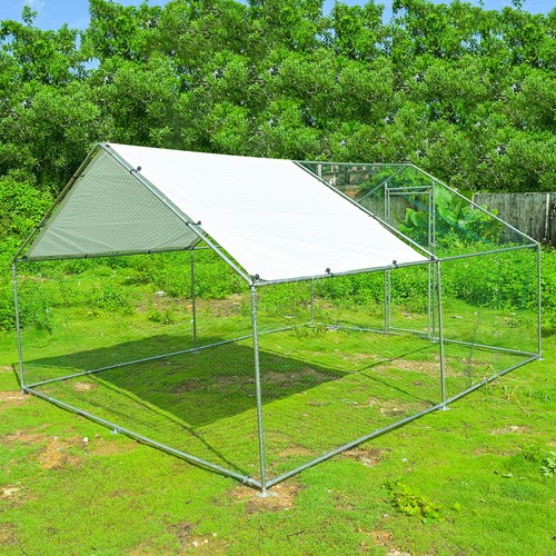 Chicken coops duck - duck,