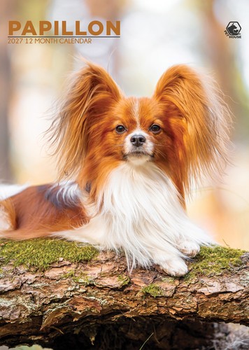Papillon dog 2027 - papillon, calendars