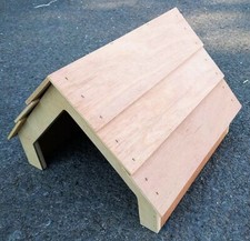 Animal shelter tortoise - animal,
