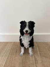 Sheepdog Collie Dog - Sitting