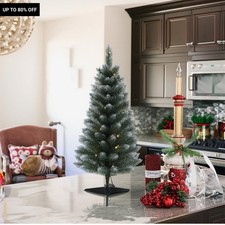 3FT PreLit Frosted Christmas