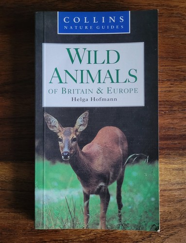 Wild animals britain and - animals, of