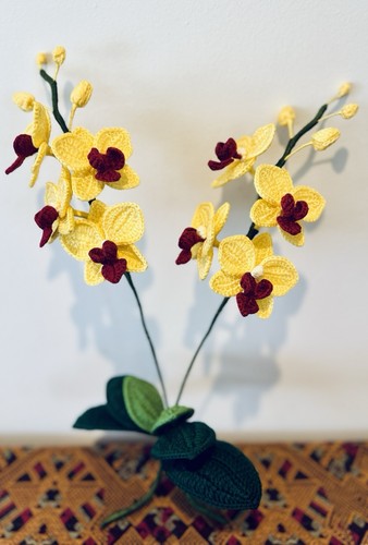 Orchid handmade crochet - orchid,