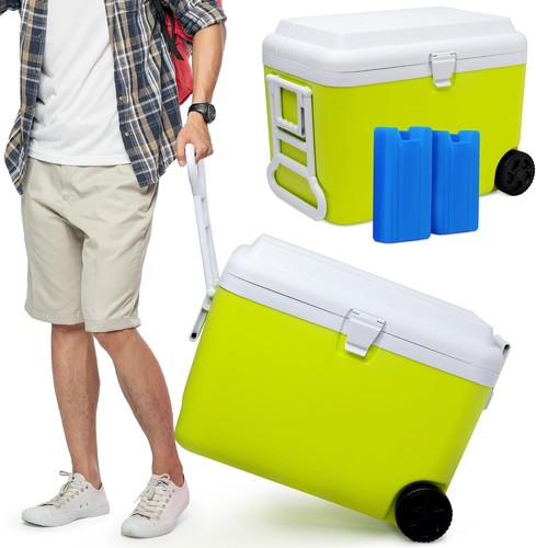 50l plastic cooler box - 50l,