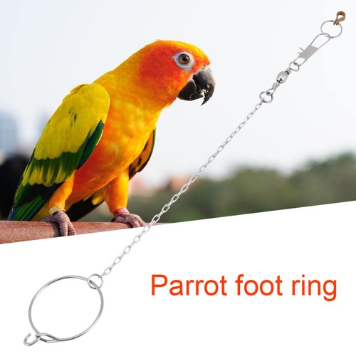 Stainless steel foot toy - foot,