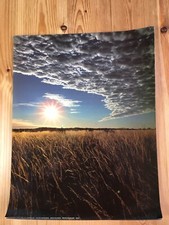 Vintage Original 1987 Athena Card Poster Simon Wilkinson Golden Grasslands Retro