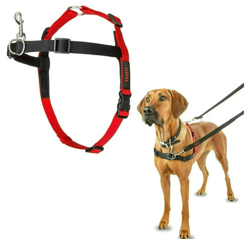 Halti front control dog - front,