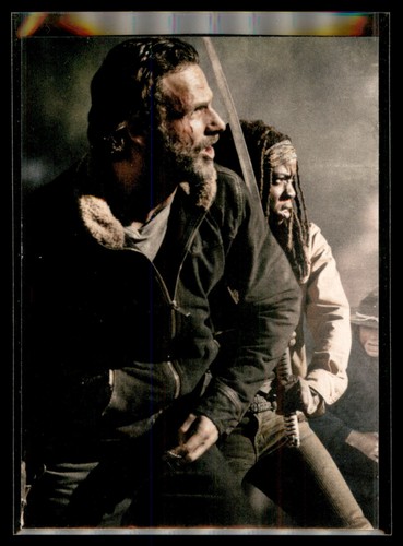 2016 cryptozoic walking dead - 2016,