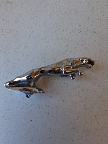 Vintage jaguar hood - jaguar,