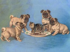 PUG CHARMING DOG GREETINGS