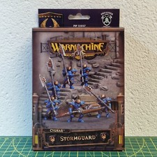 Warmachine Cygnar Stormguard