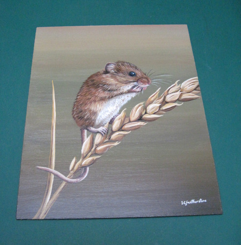 Field mouse acrylic - 'field,