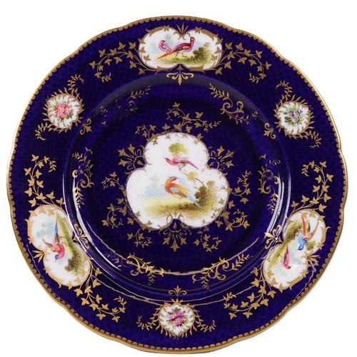 Coalport plate exotic birds - coalport,