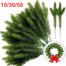 10/30/50Pc Pine Needle Plant