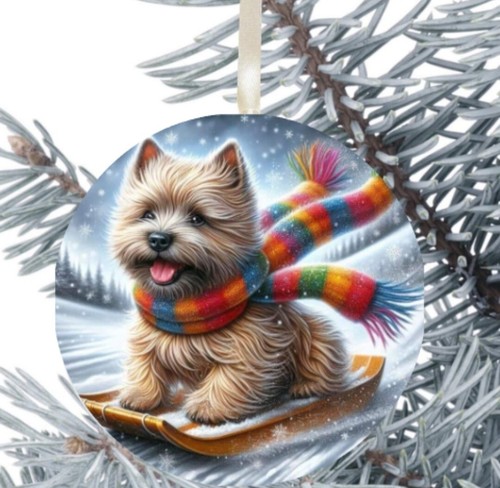 Cairn terrier dog hanging - dog,