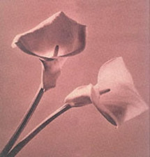 Pistils - Mapplethorpe, R