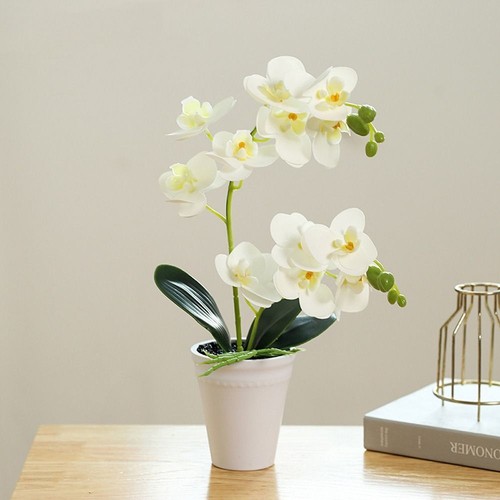 Artificial orchid flower - artificial,